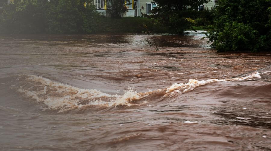 Why choose FluxCorex for water damage restoration in Escondido